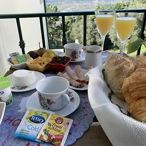 Deluxe Com Terraço E Varanda Privada - 'casinha Da Amoreira' Couette-café
