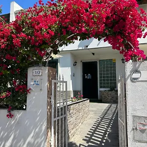Bing Garden , Lisboa Portugal